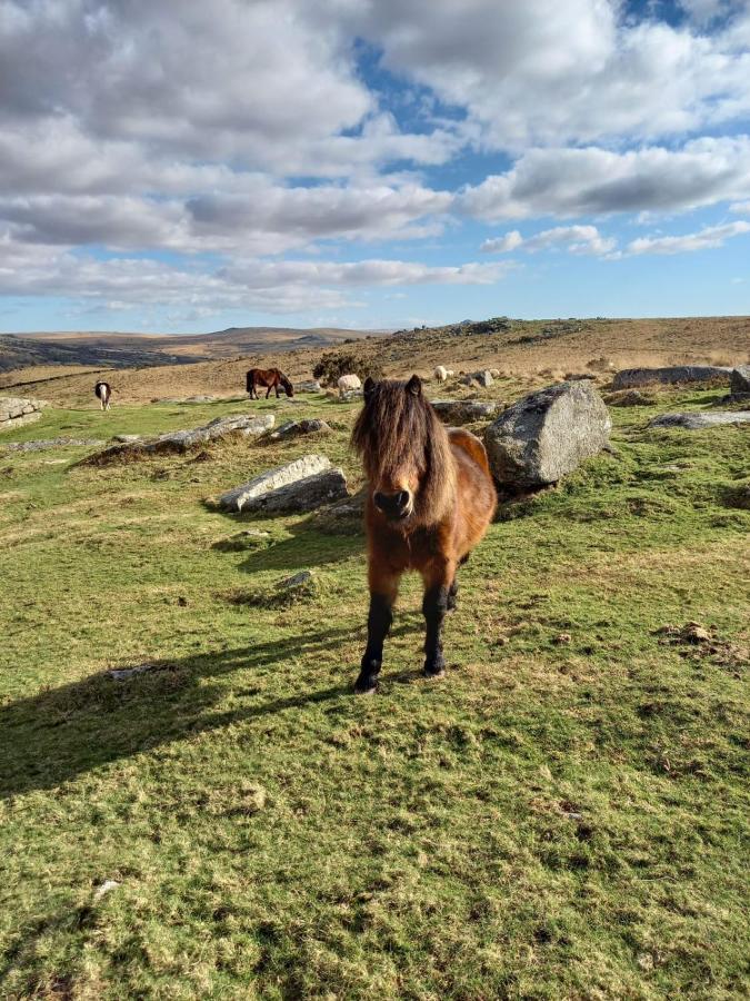 Dartmoor Inn Princetown Buitenkant foto